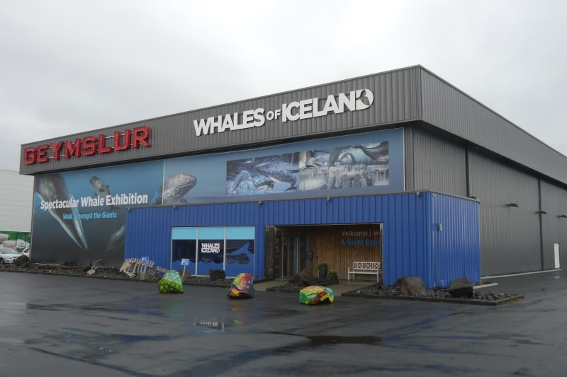 Musée des baleines à Reykjavik