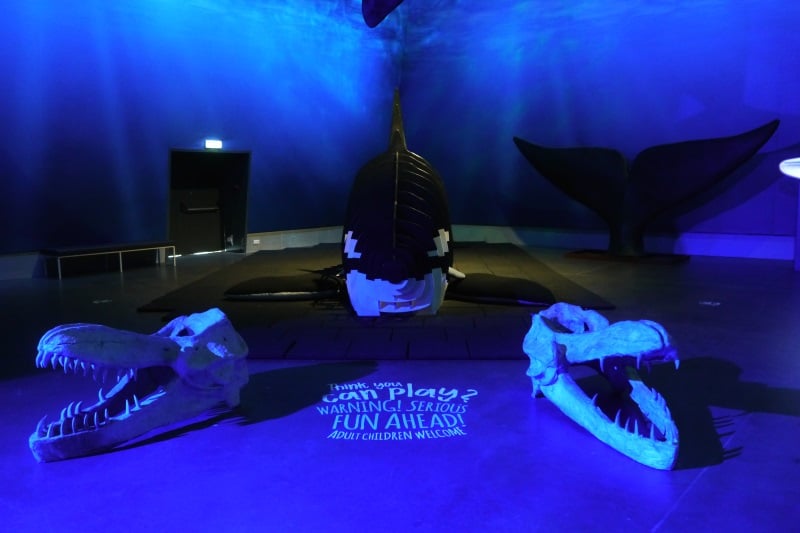 Découvrez le musée des baleines