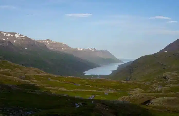 Mjoifjordur-fjord