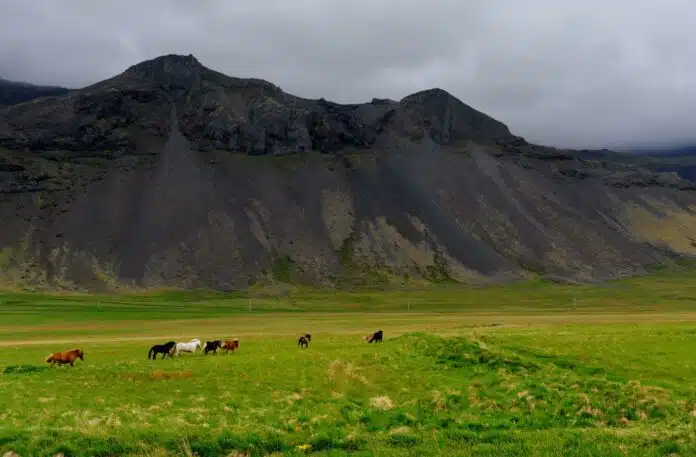 Islande nature