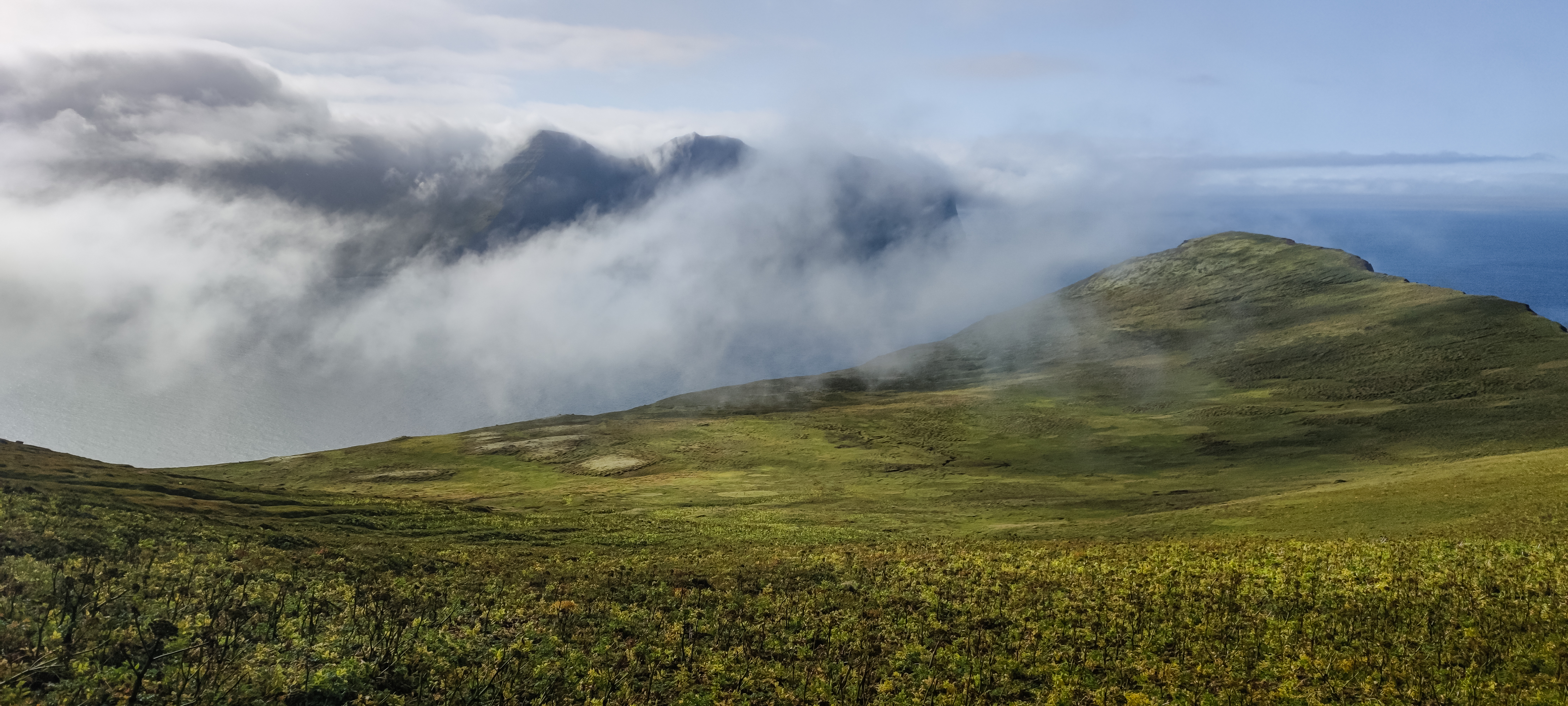 Hornvik dans la brume